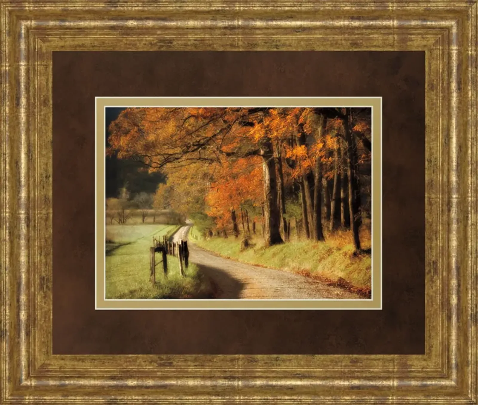 Autumns Morning Light By D. Burt - Framed Print Wall Art - Orange