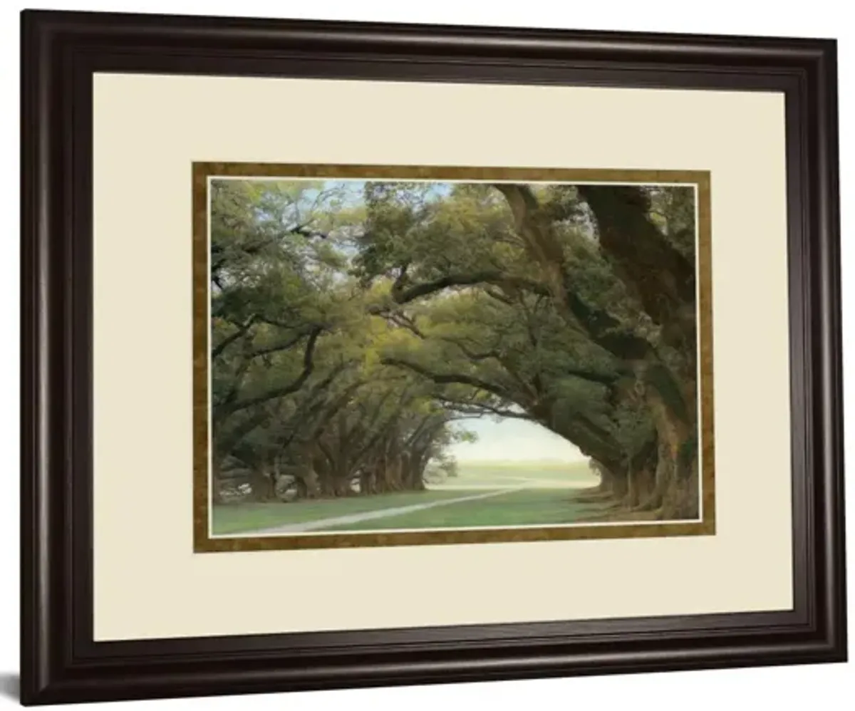 Alley Of The Oaks By William Guion - Framed Print Wall Art - Green