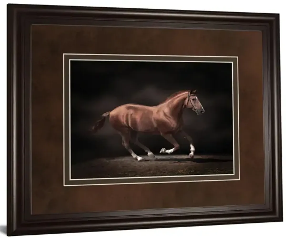 Stallion On Black By Edoma Photo - Framed Print Wall Art - Dark Brown