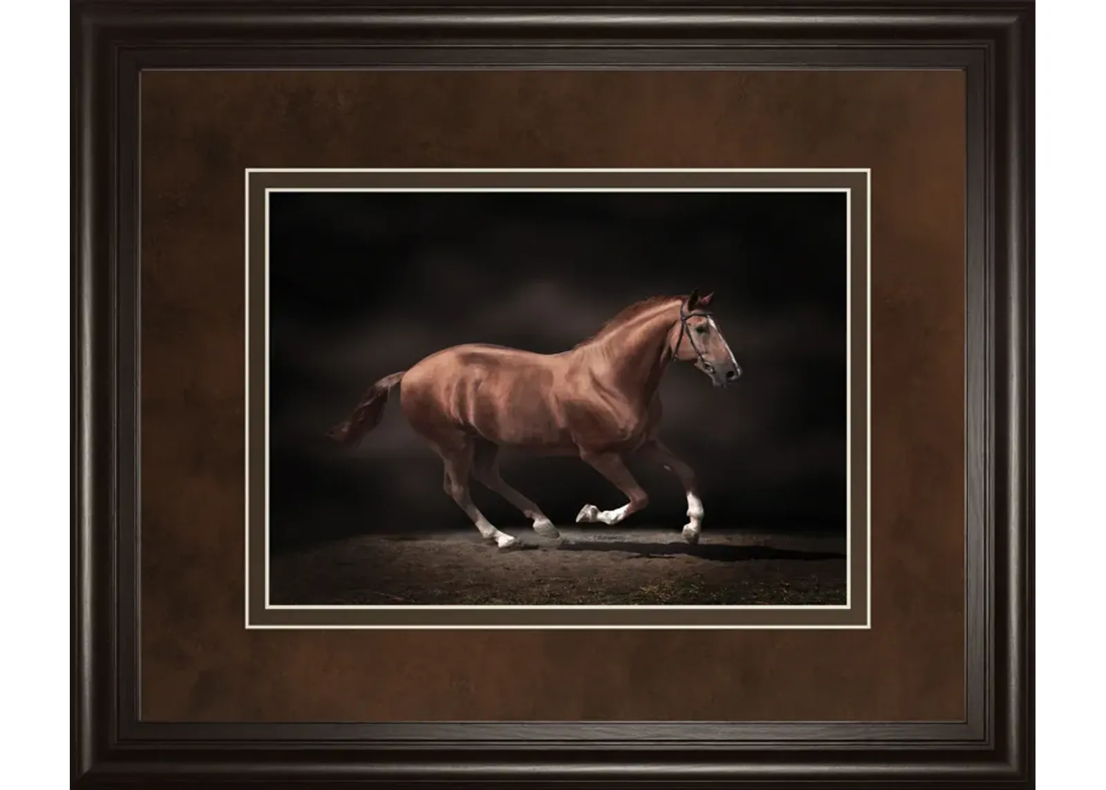 Stallion On Black By Edoma Photo - Framed Print Wall Art - Dark Brown