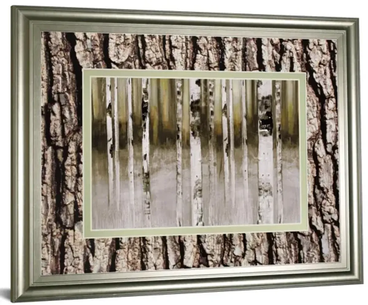 Fern Creek By Susan Jill Double Matted - Framed Wall Art - White