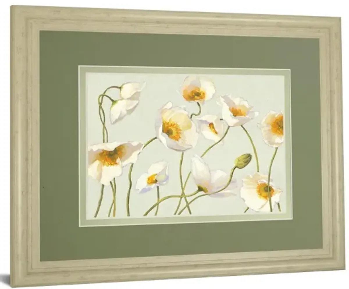 White Bright Poppies By Novak - Framed Print Wall Art - White