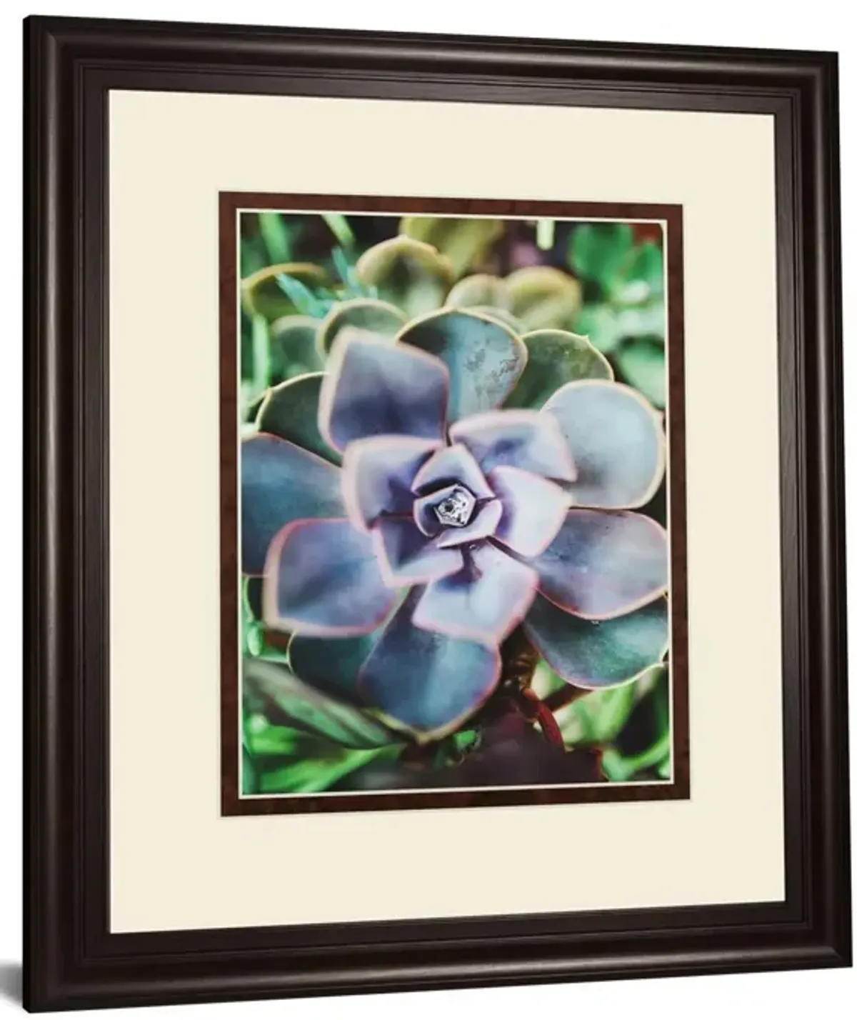 Succulence Beauty By Chelsea Kedron - Blue