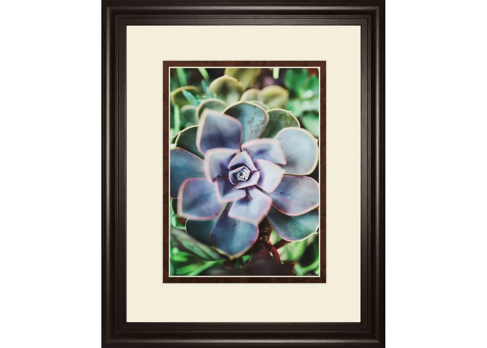 Succulence Beauty By Chelsea Kedron - Blue