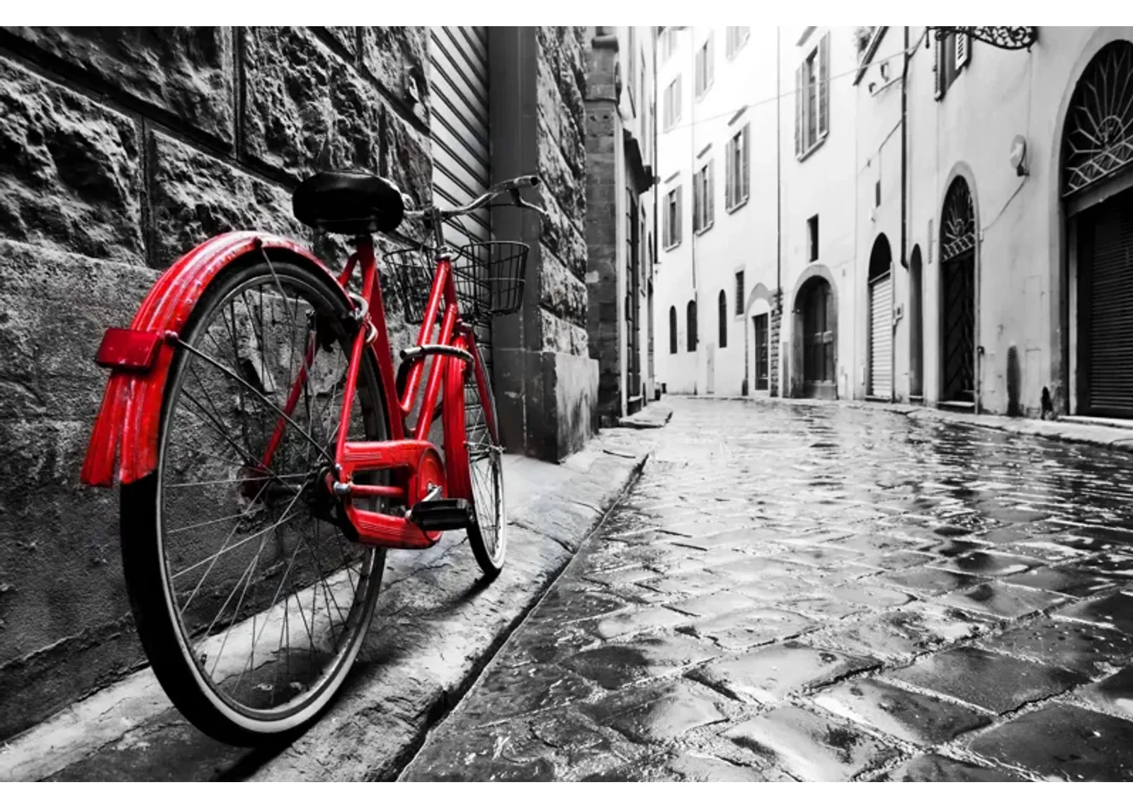 Framed - Red Bicycle - Dark Gray