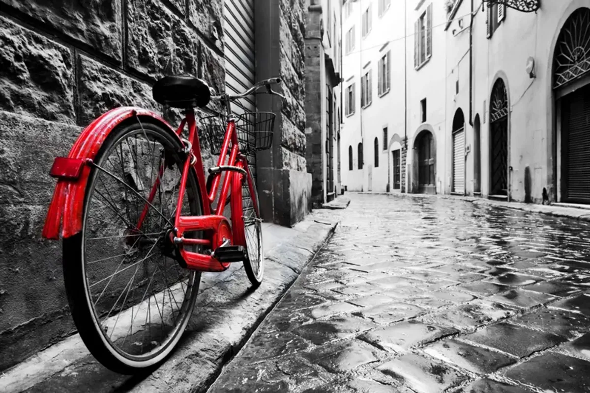 Framed - Red Bicycle - Dark Gray