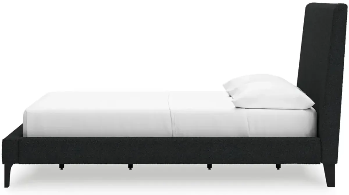 Cadmori - Upholstered Bed With Roll Slats