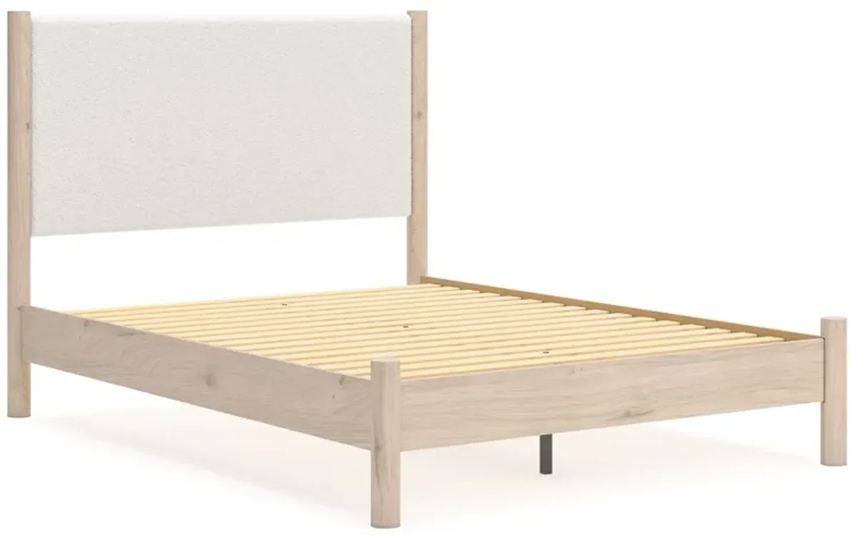 Cadmori - Upholstered Panel Bed