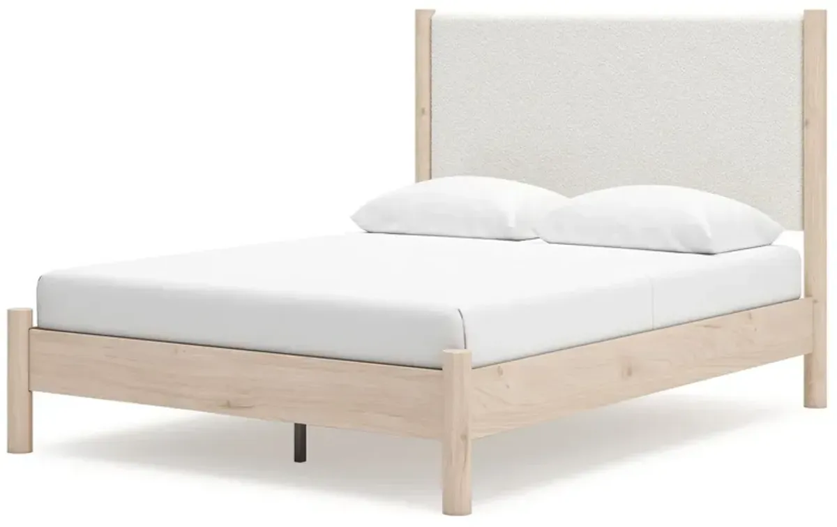 Cadmori - Upholstered Panel Bed