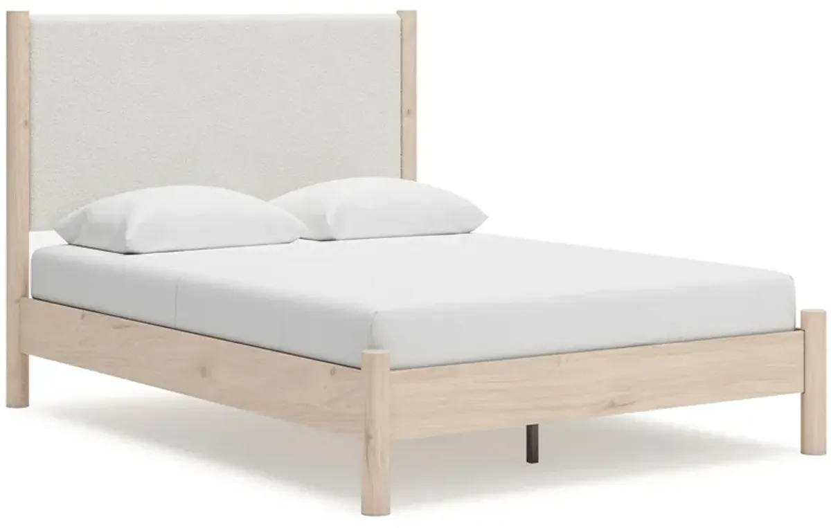 Cadmori - Upholstered Panel Bed