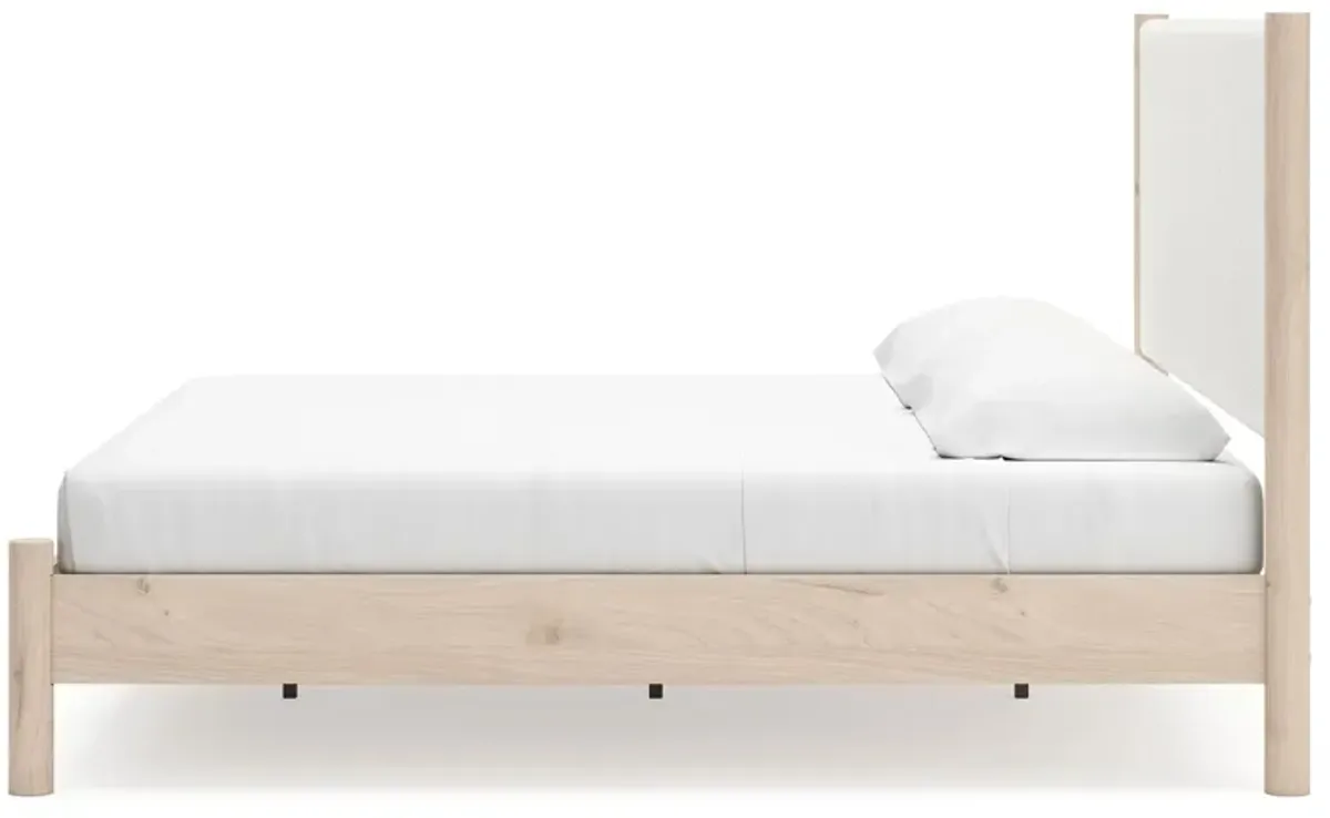 Cadmori - Upholstered Panel Bed