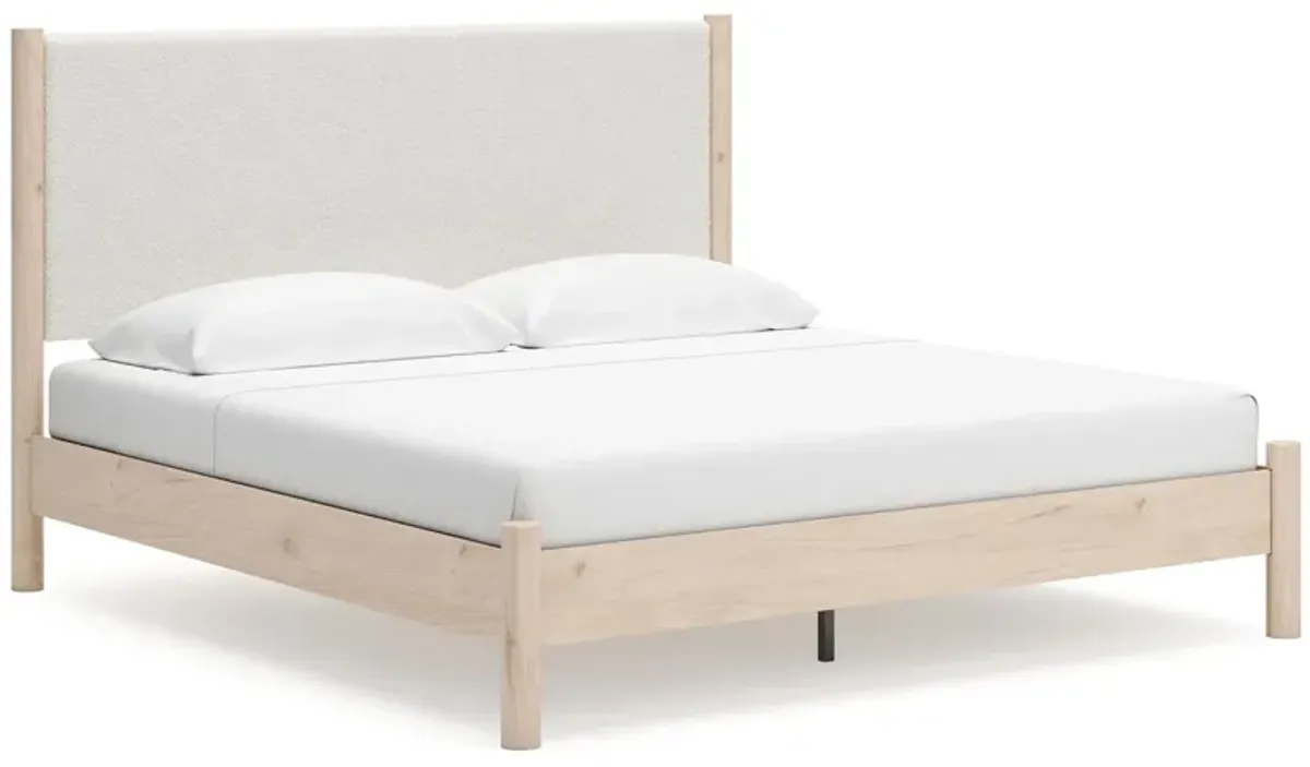 Cadmori - Upholstered Panel Bed