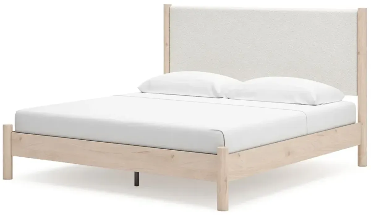 Cadmori - Upholstered Panel Bed