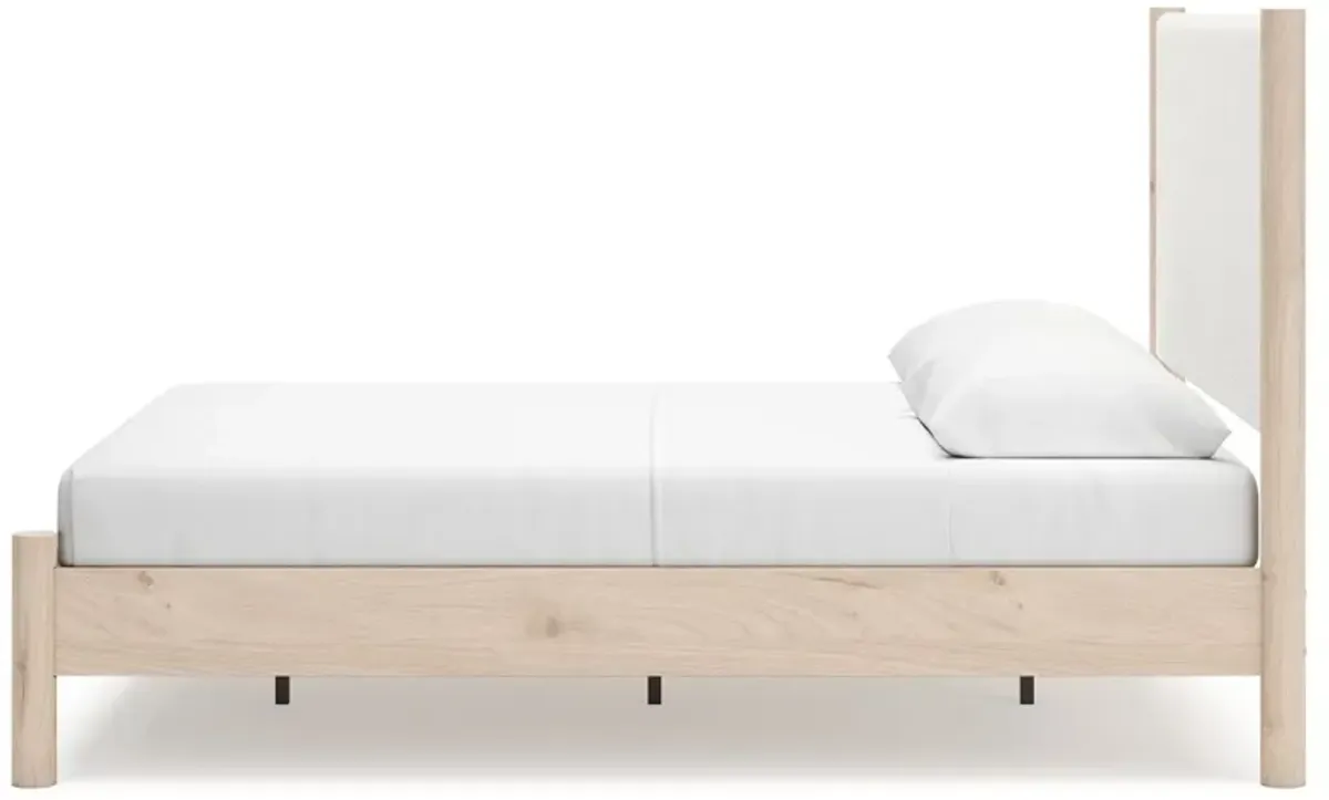 Cadmori - Upholstered Panel Bed