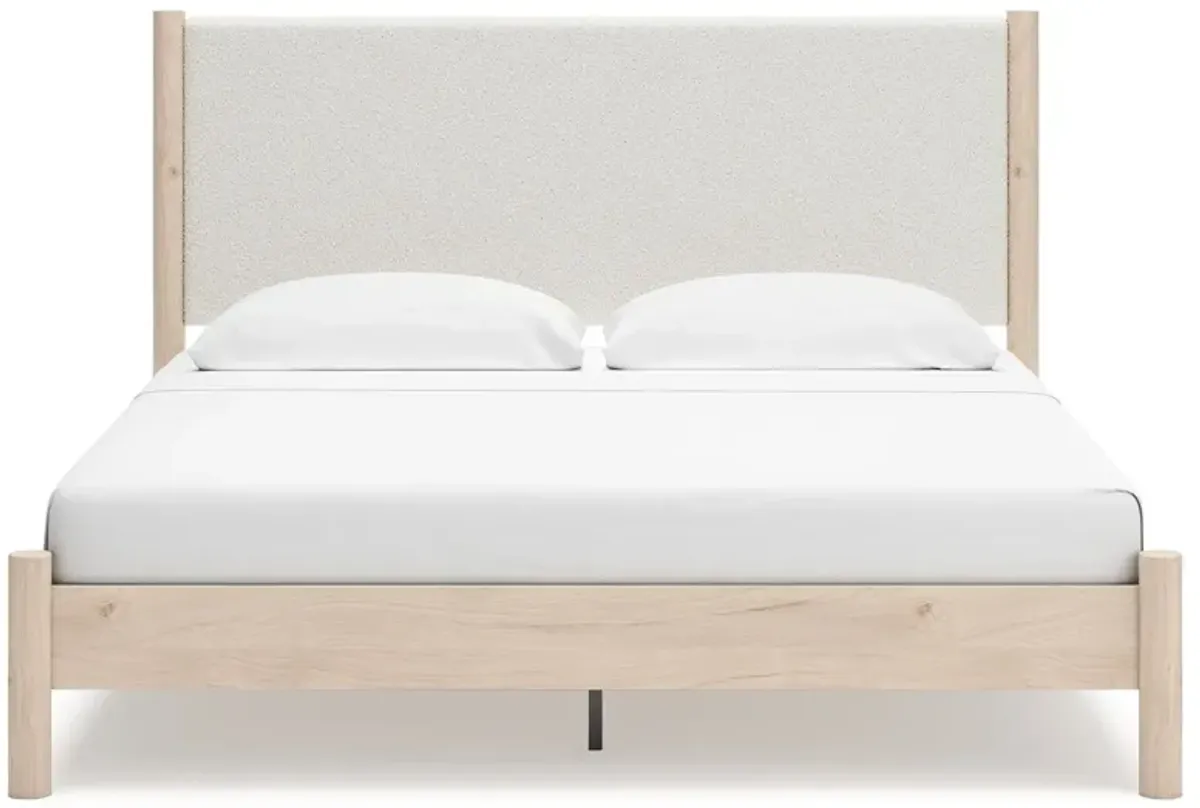 Cadmori - Upholstered Panel Bed