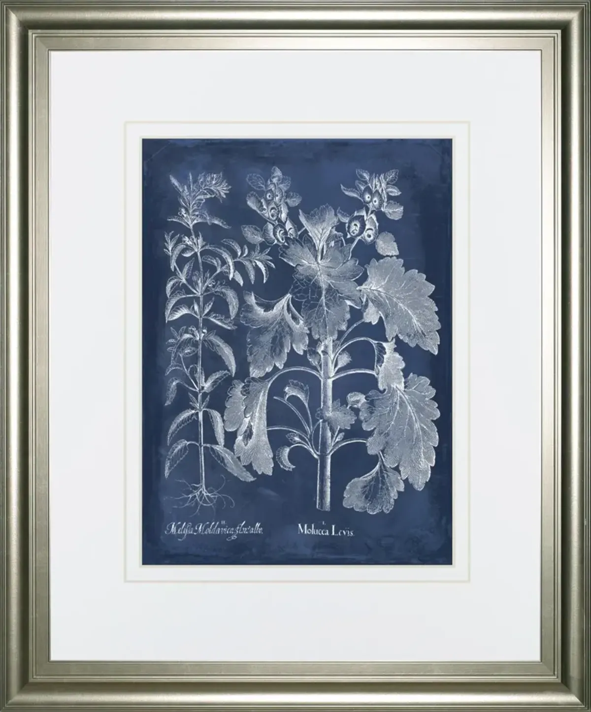 34x40 Besler Leaves in Indigo I By Vision Studio - Blue