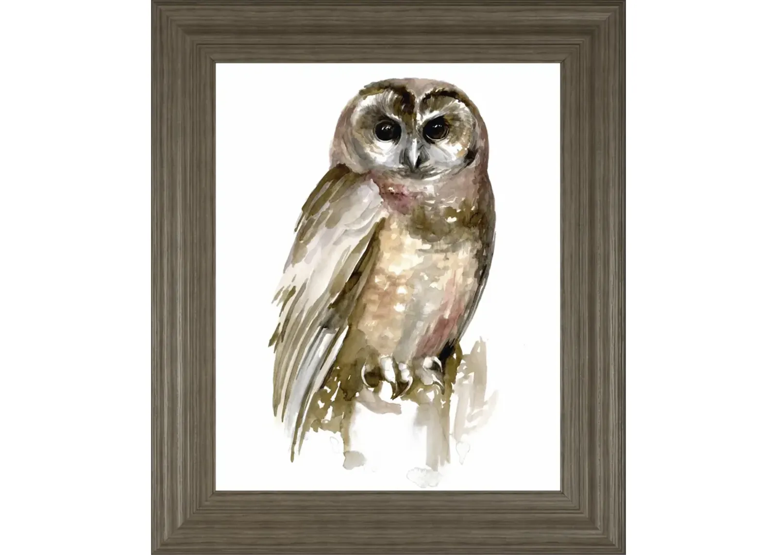 22x26 Watercolor Owl II By Jennifer Paxton Parker - Dark Gray