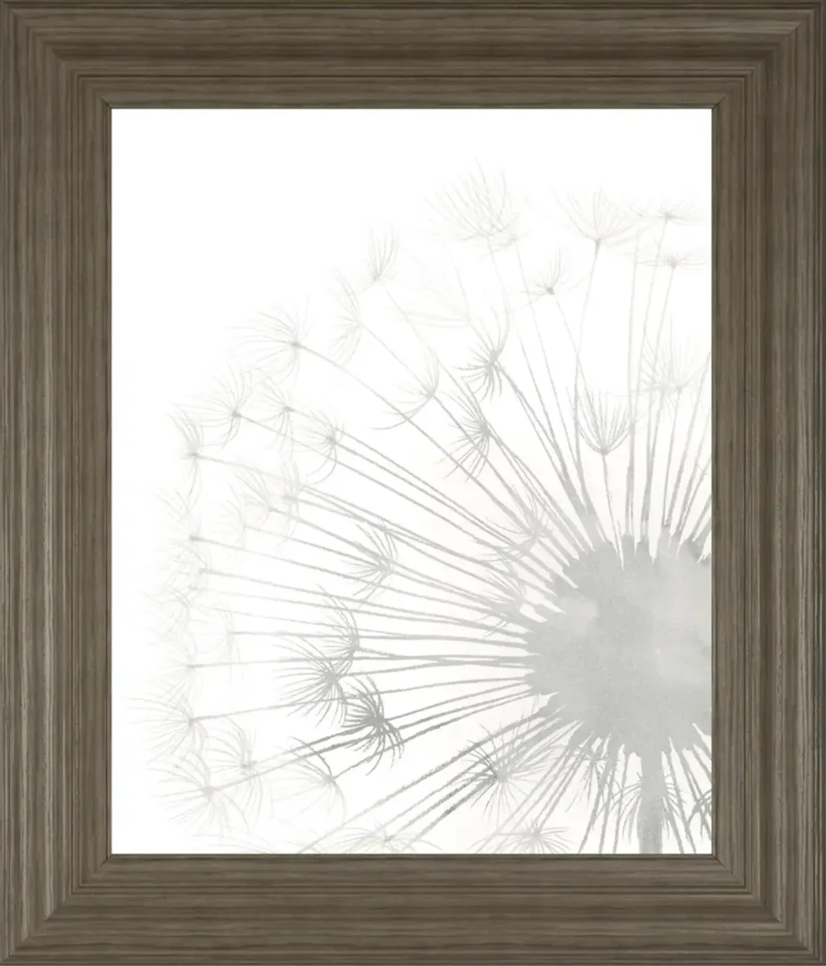 22x26 Dandelion Whisper II By Grace Popp - Pearl Silver