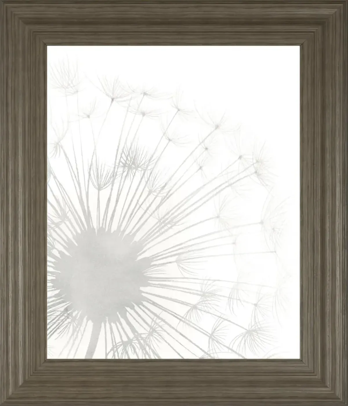 22x26 Dandelion Whisper I By Grace Popp - Pearl Silver