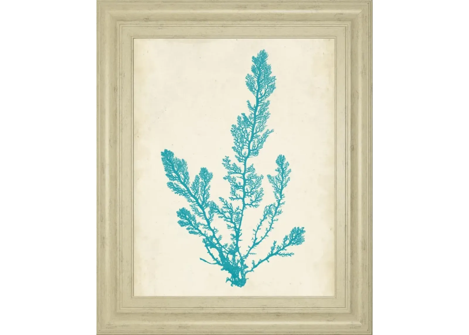 22x26 Aquamarine Seaweed VI By Vision Studio - Light Blue