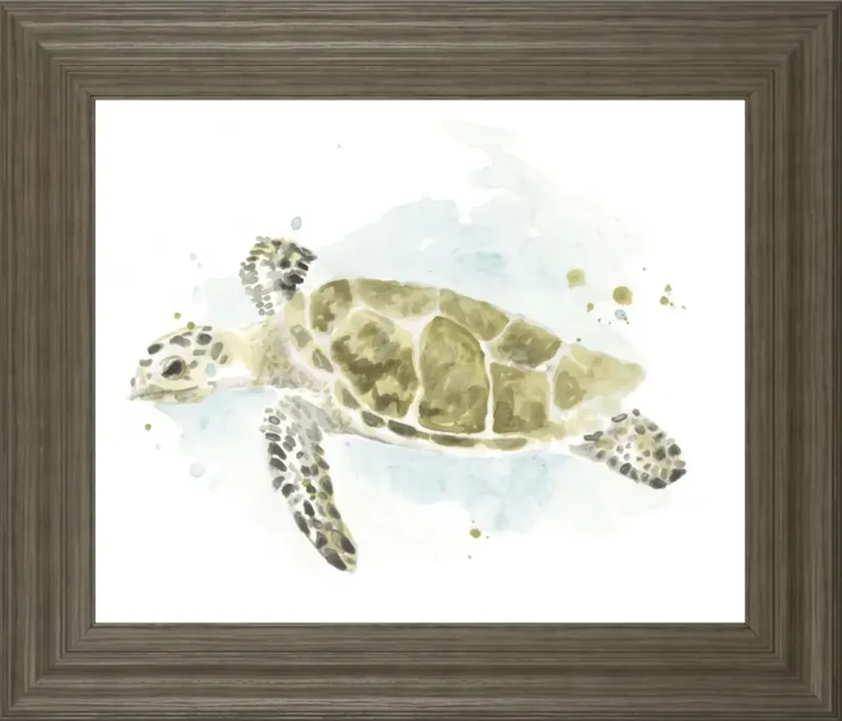 22x26 Watercolor Sea Turtle Study II By June Erica Vess - Dark Green