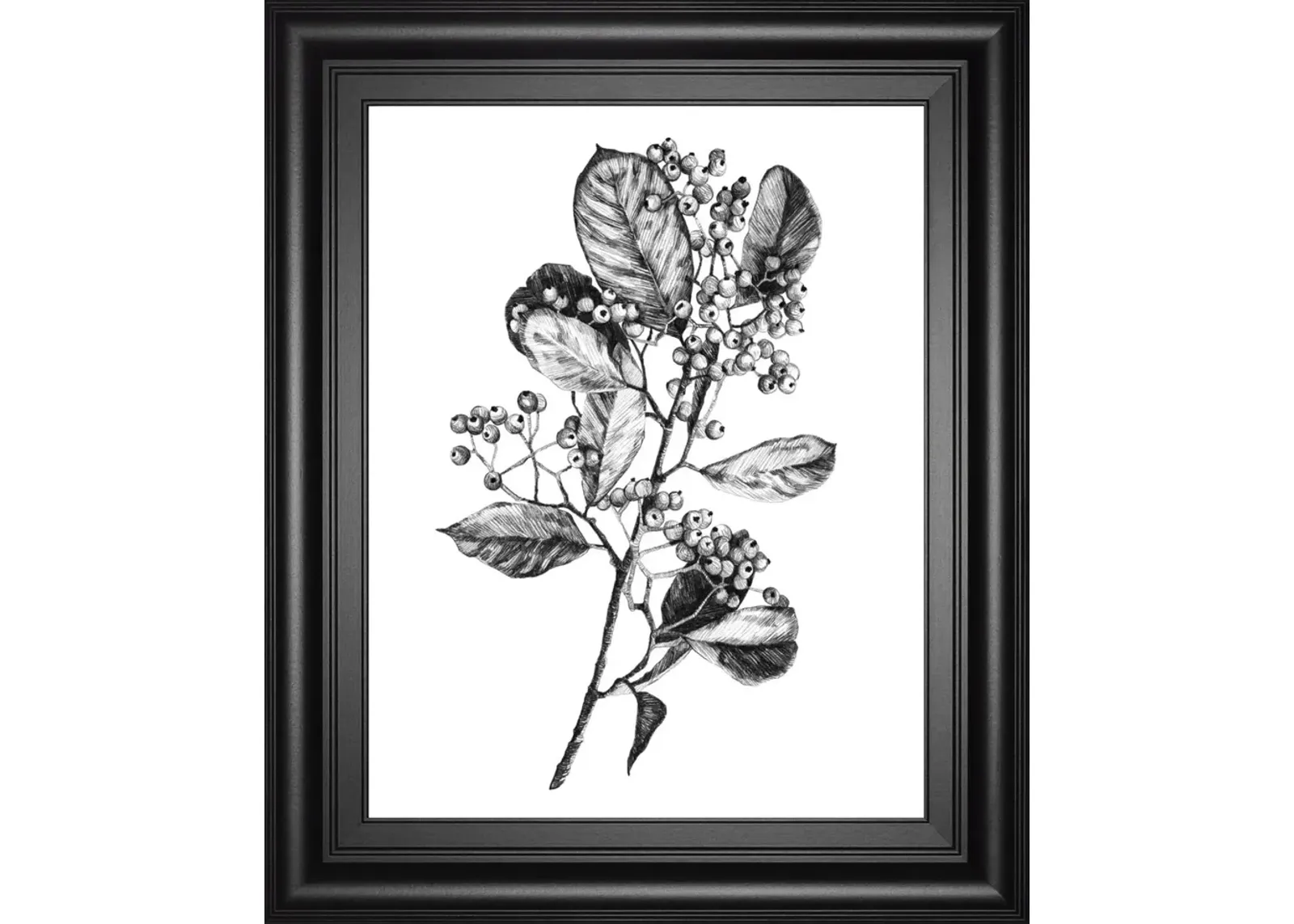 22x26 Hawthorn Berry Branch I By Emma Scarvey - Black