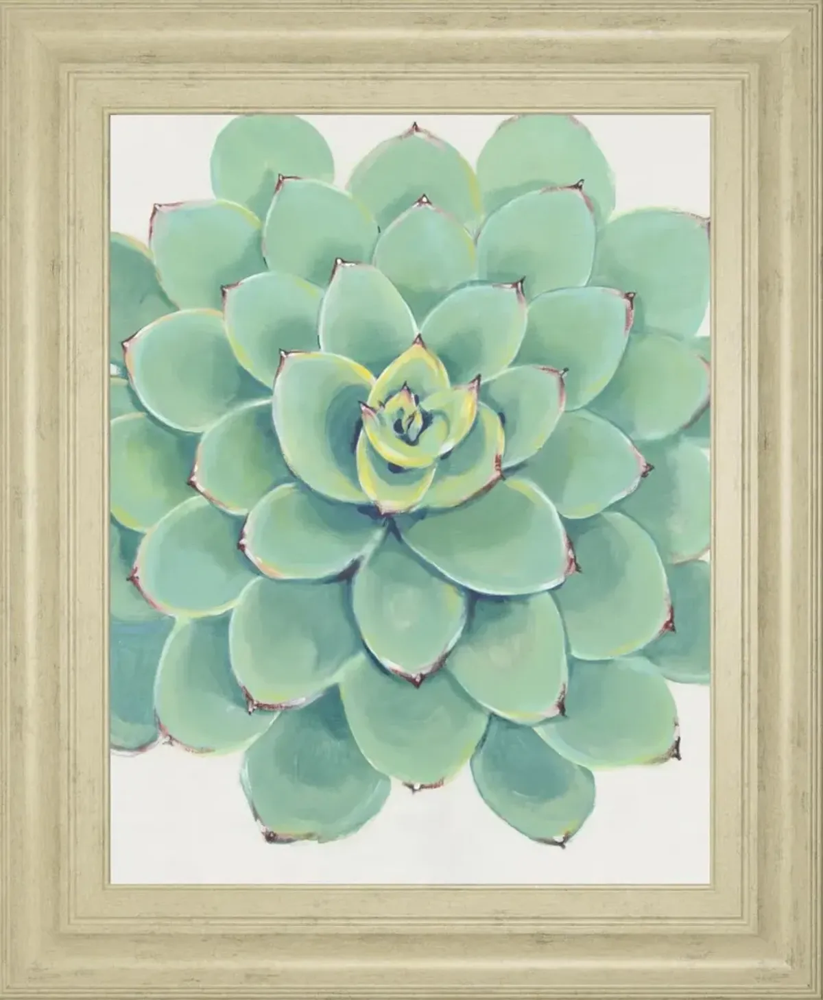 22x26 Pastel Succulent III By Tim OToole - Green