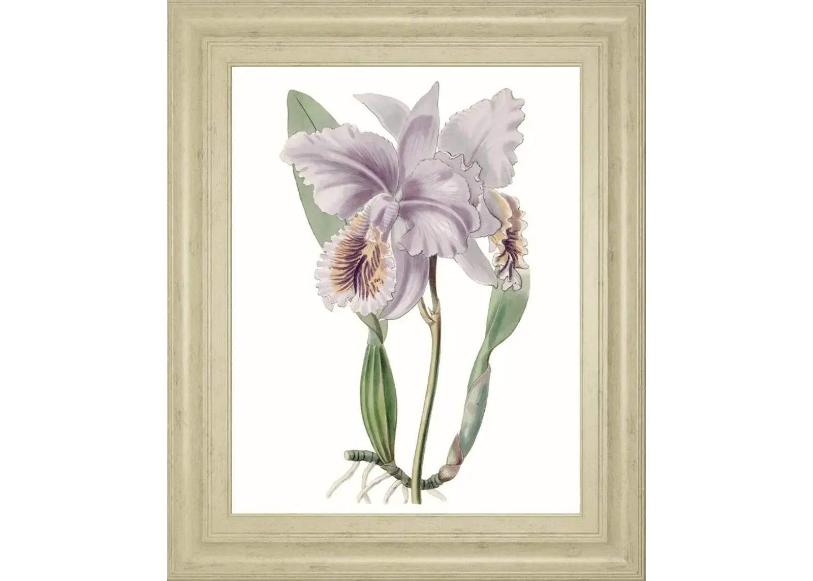 22x26 Lavender Beauties II By Edwards - Purple