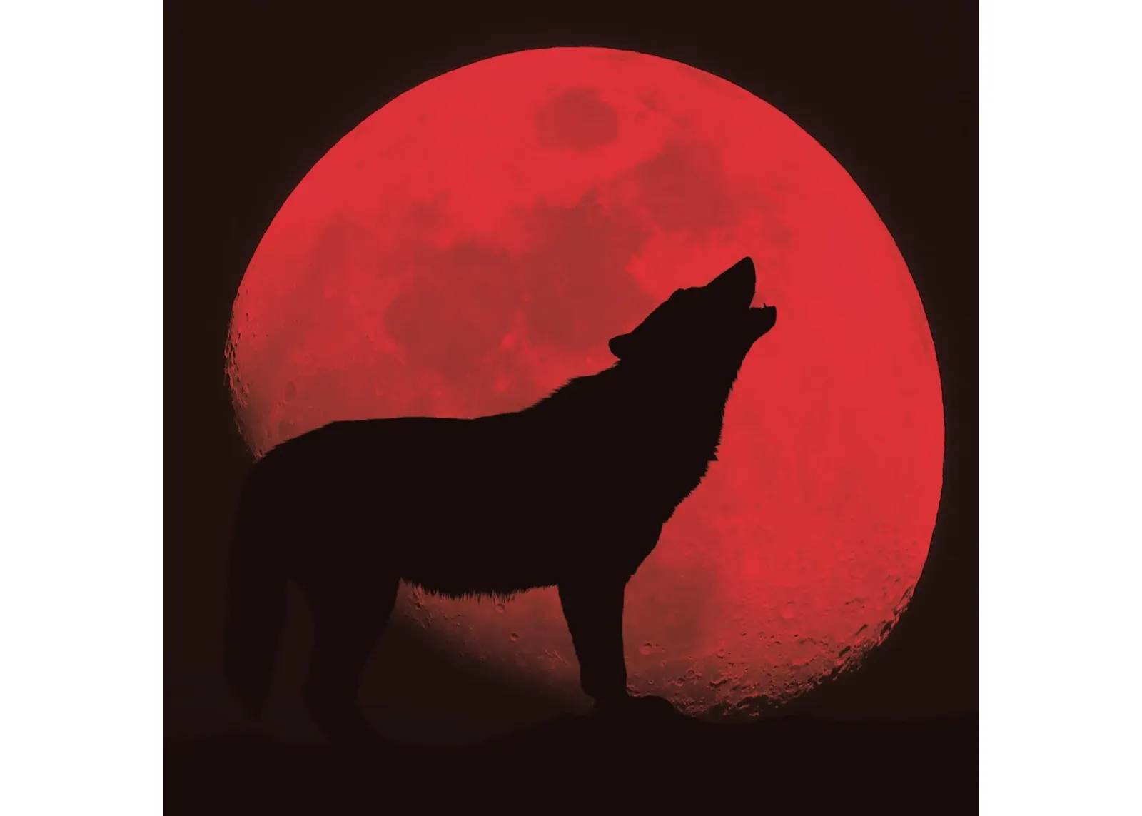 Red Wolf By Classy Art (Framed) (Small) - Red