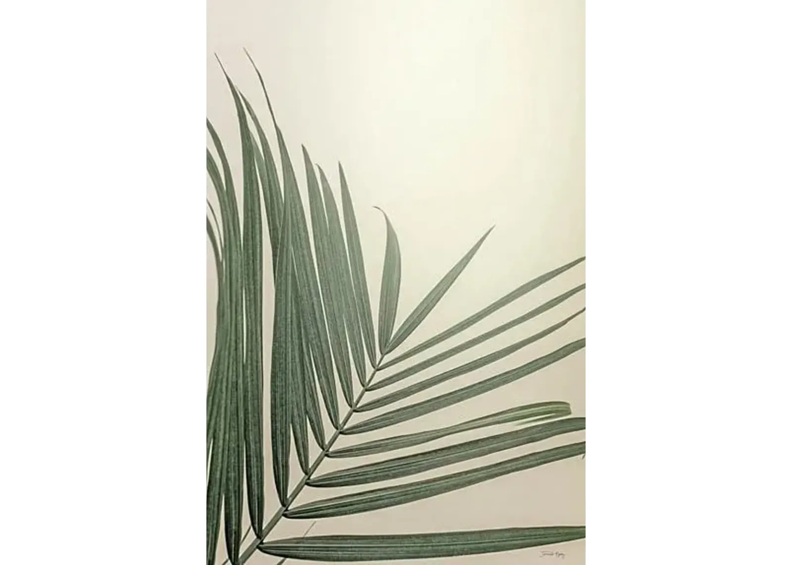 Golden Hour Palm By Jennifer Rigsby - Dark Green