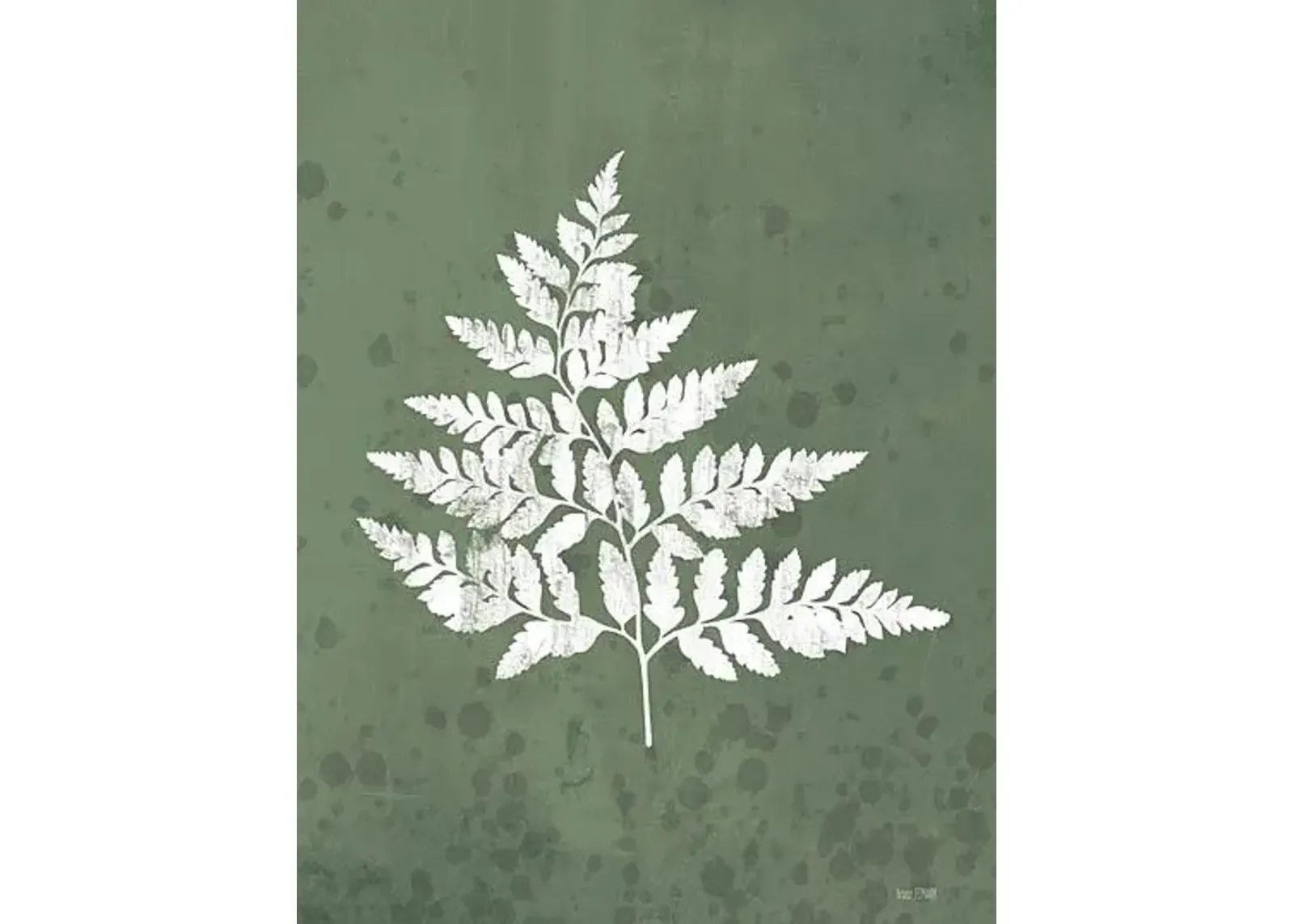 Fern Botanical I By House Fenway - Green