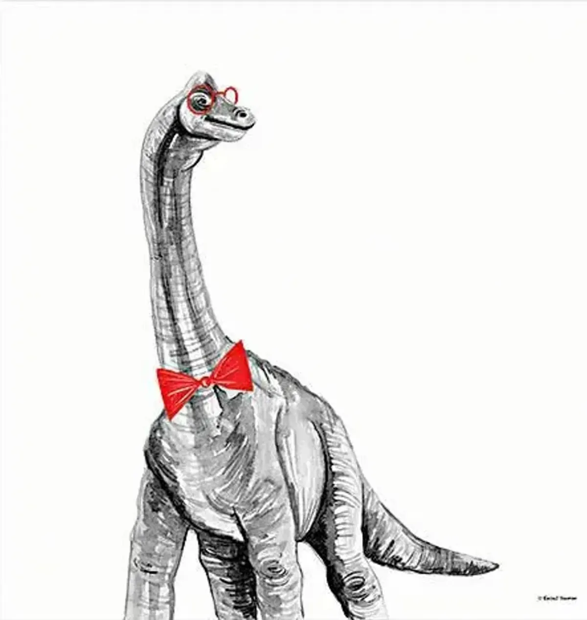 Longneck In A Bow Tie By Rachel Nieman - White