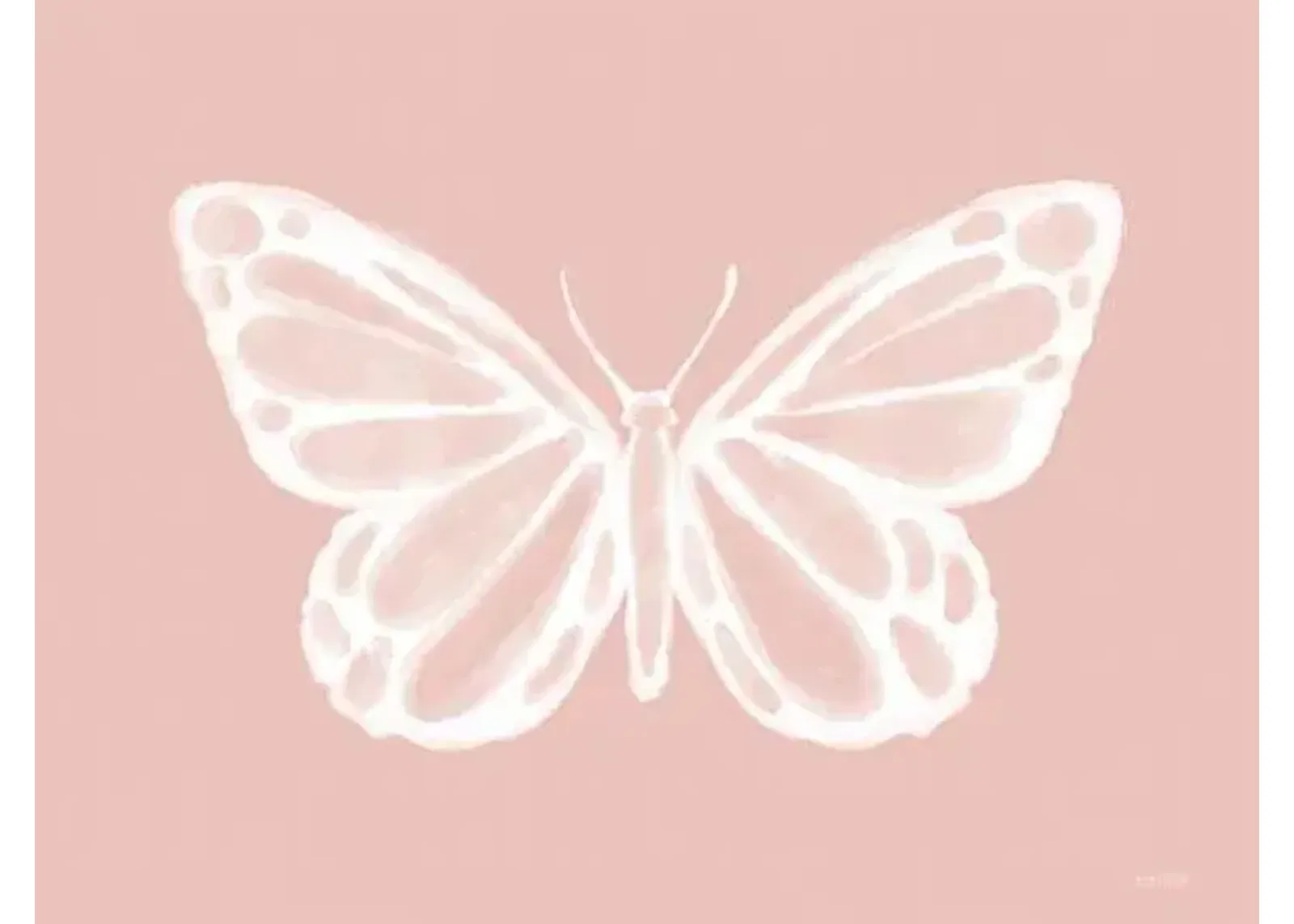 Blush Butterfly By Dakota Diener (Small) - Pink