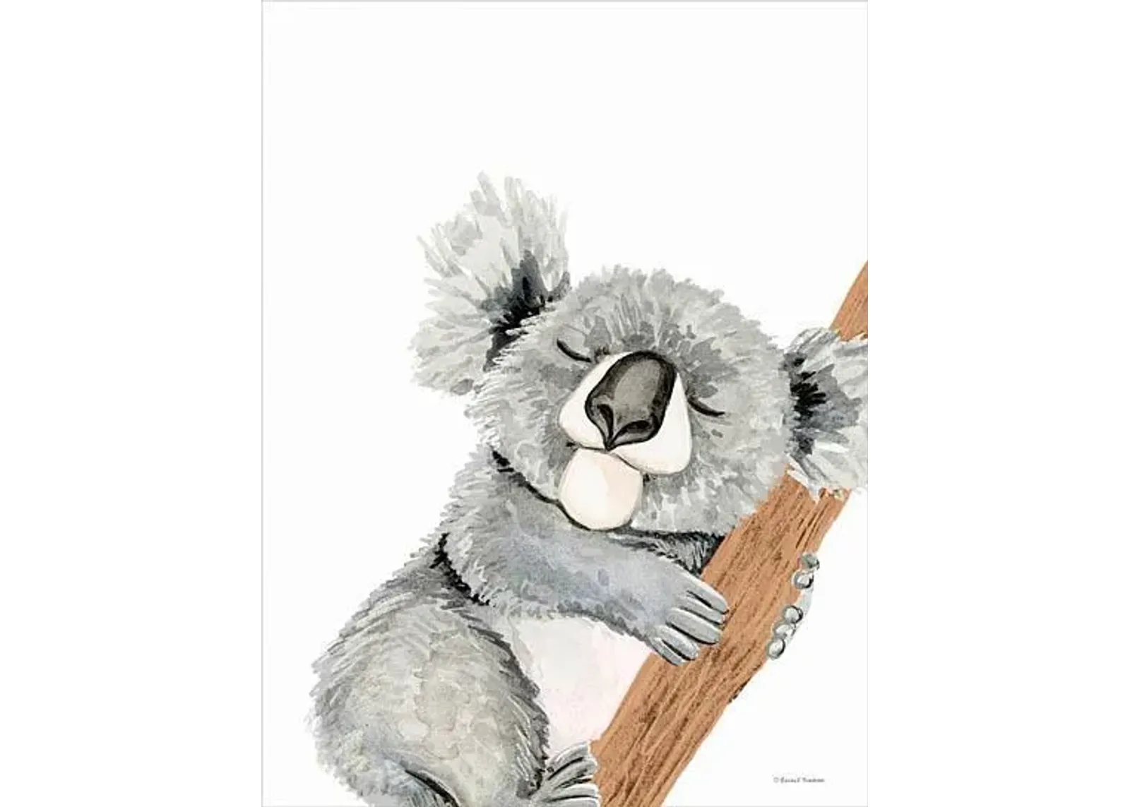 Cuddles The Koala By Rachel Nieman (Small) - Dark Gray