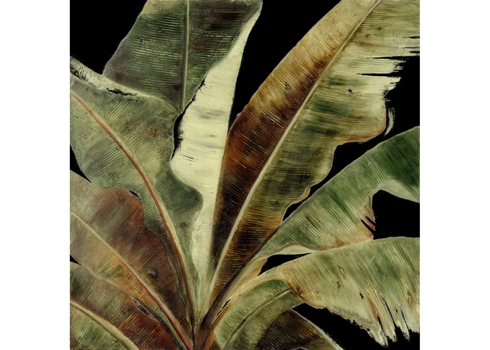 Uraba Palm On Black I By Patricia Pinto - Green