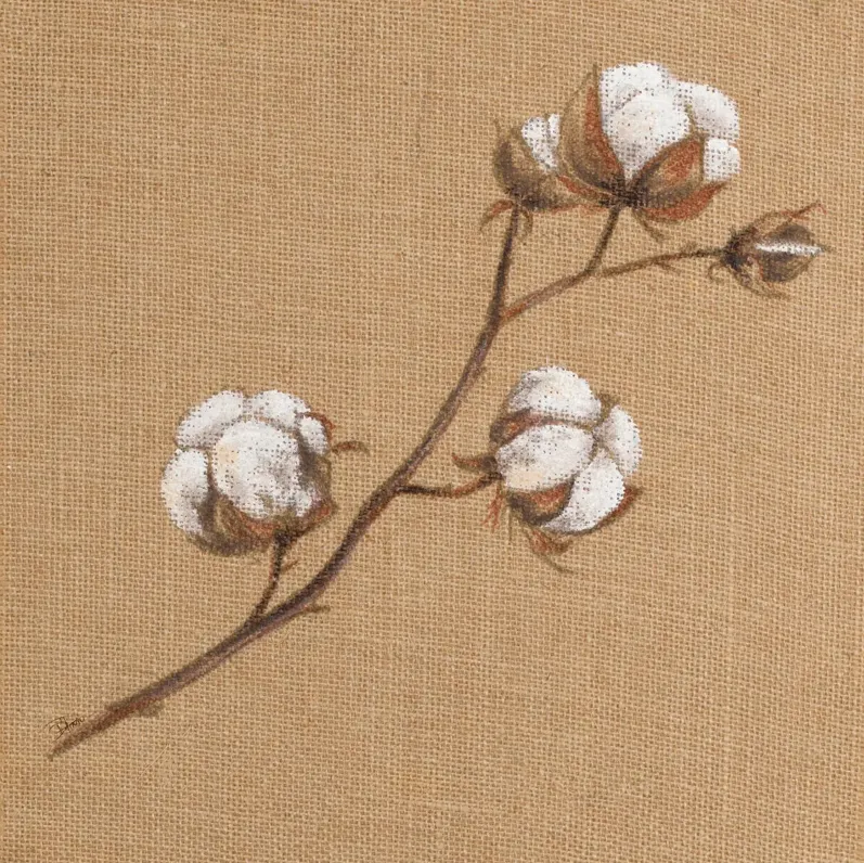 Cotton Branch I By Patricia Pinto (Framed) - Light Brown