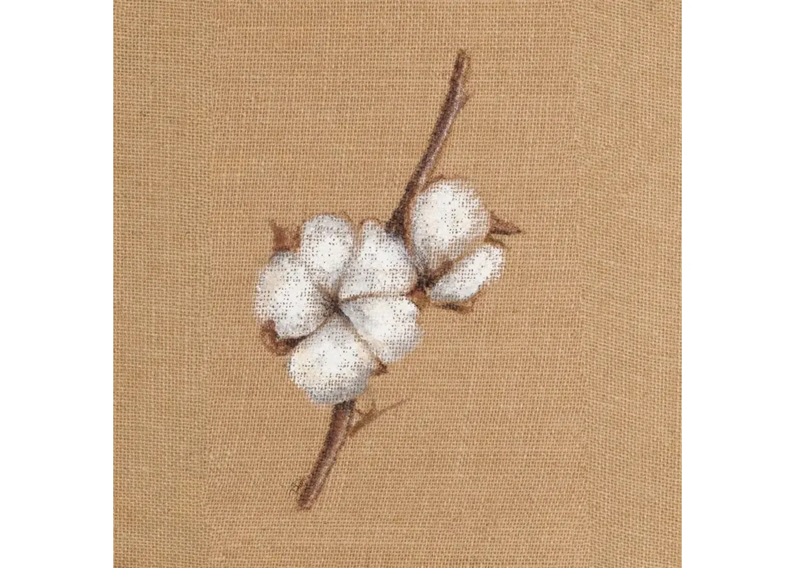 Cotton Branch II By Patricia Pinto (Framed) - Light Brown