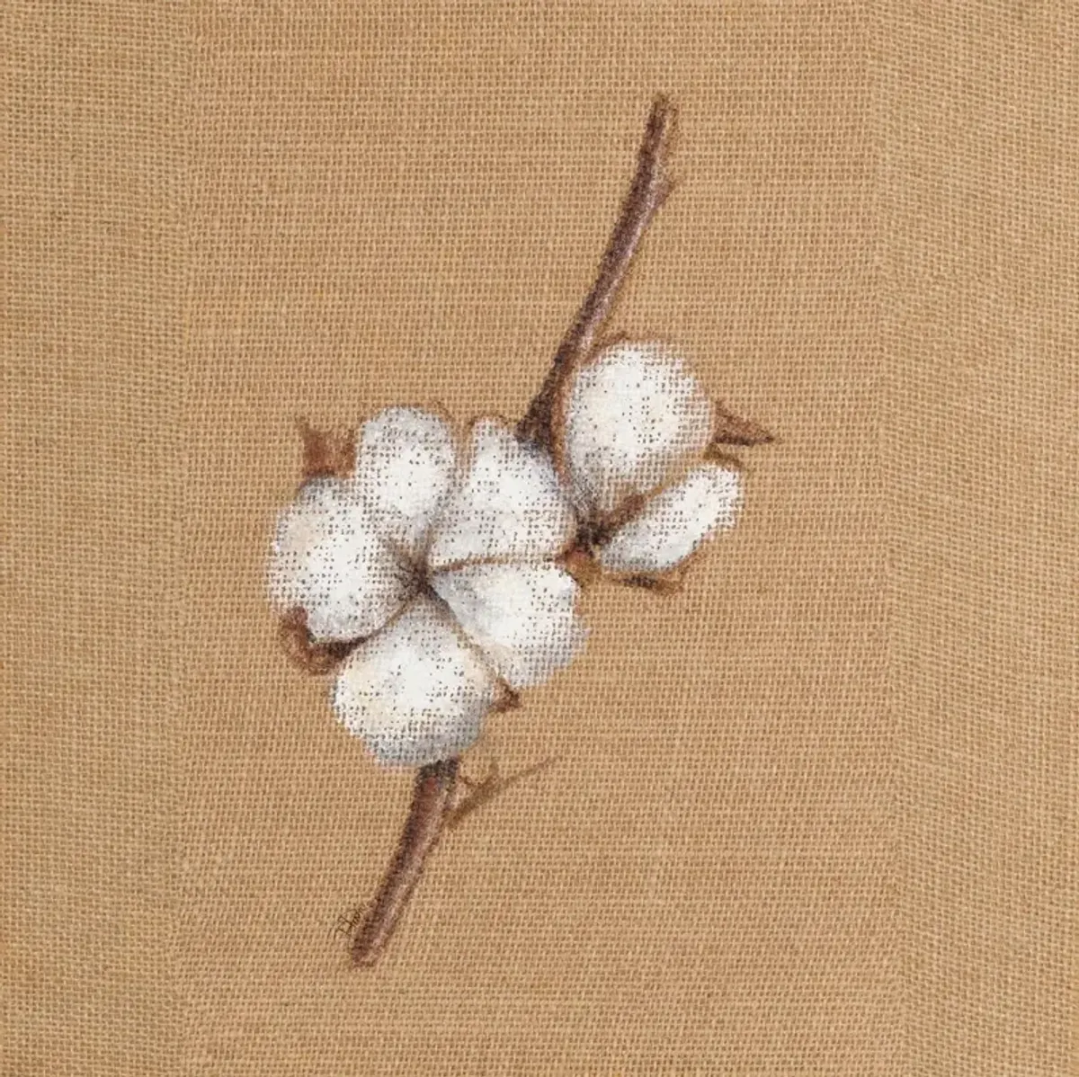 Cotton Branch II By Patricia Pinto (Framed) - Light Brown