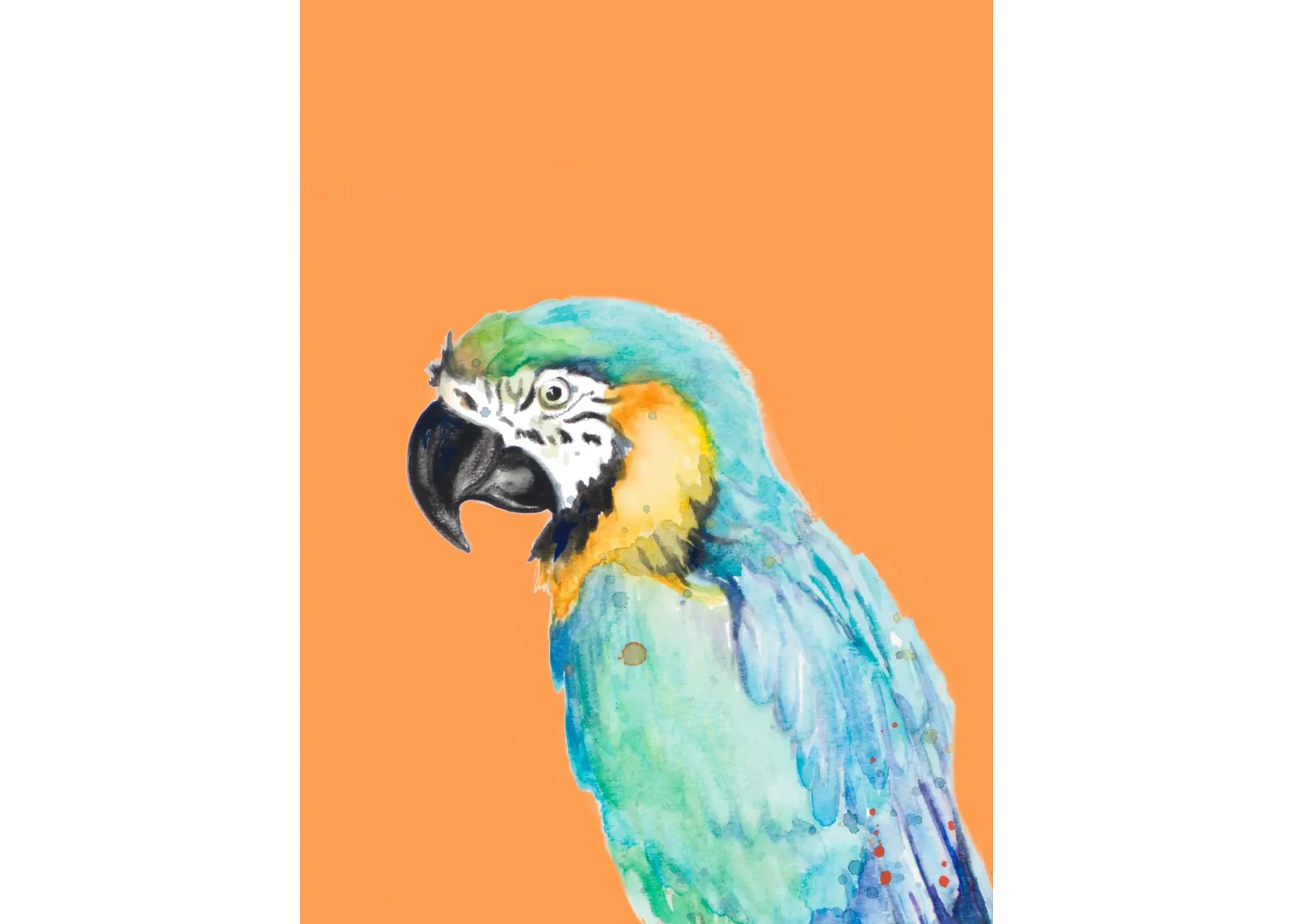 Parrot Portrait By Patricia Pinto - Light Blue