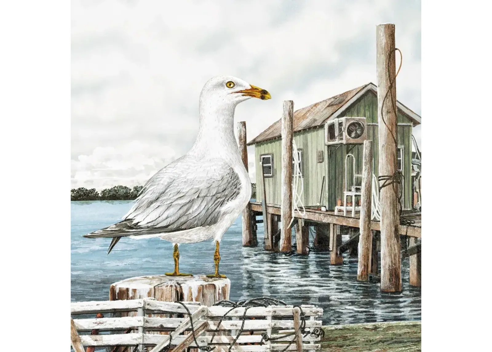 Majestic Seagull By James Harris - Gray