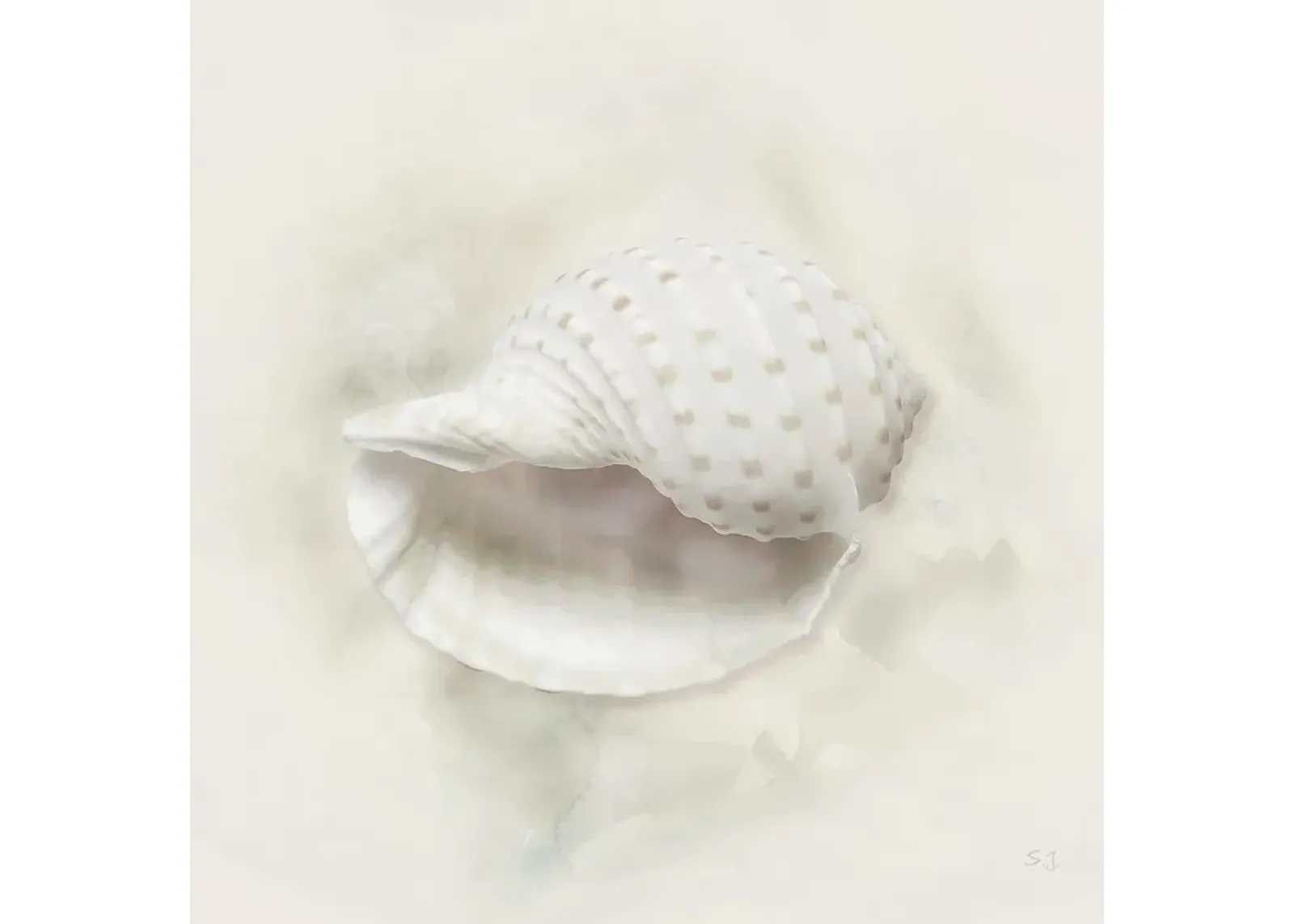 Soft Sand And Shell Iv By Susan Jill - Beige