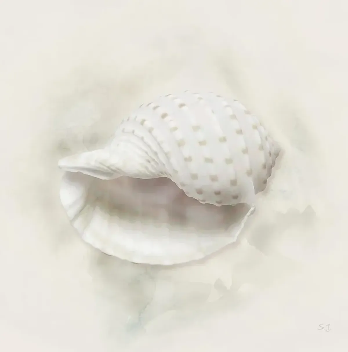 Soft Sand And Shell Iv By Susan Jill - Beige