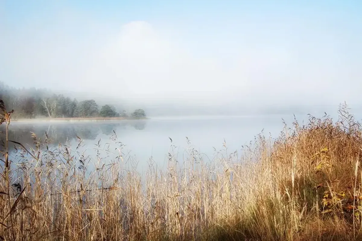 Enjoy Lovely Nature By Irene Weisz (Framed) - Light Blue