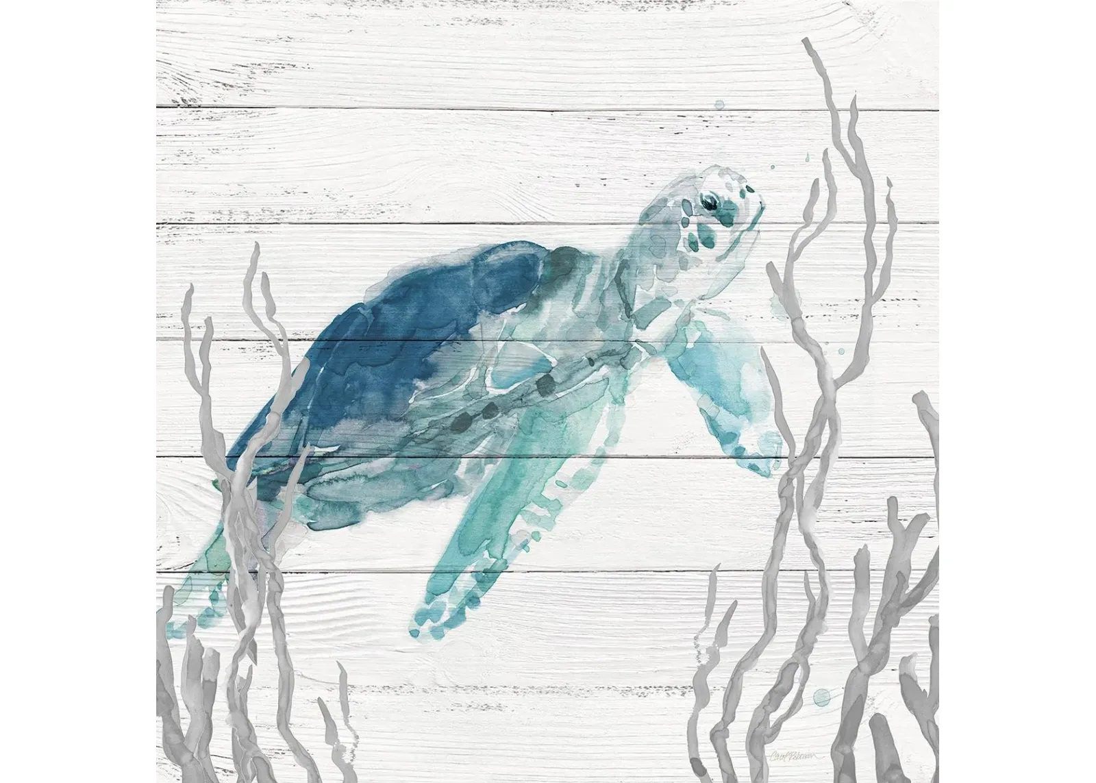 Aqua Turtle I By Carol Robinson - Light Blue