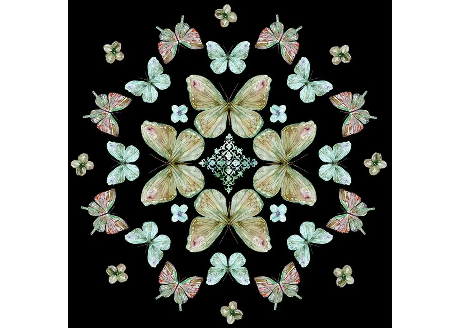 Butterfly Kaleidoscope By Carol Robinson (Framed) - Black