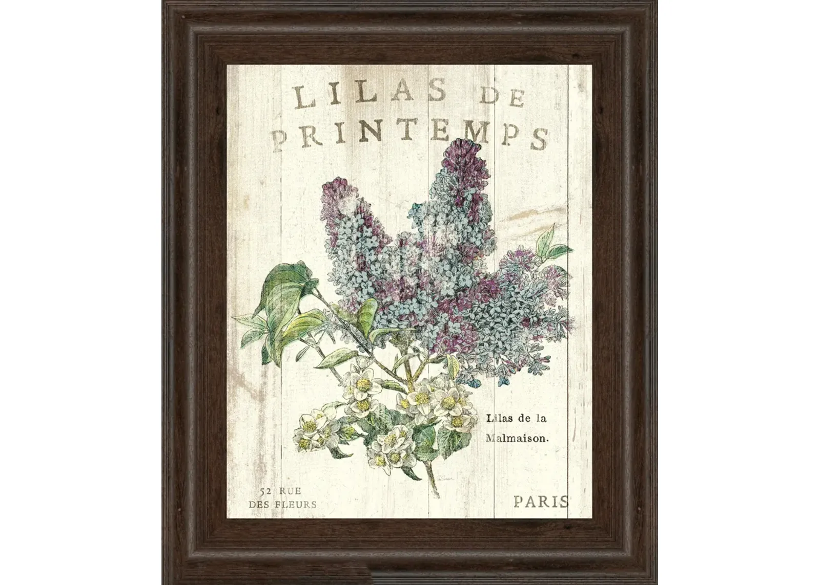 Lilas De Printemps By Sue Schlabach - White