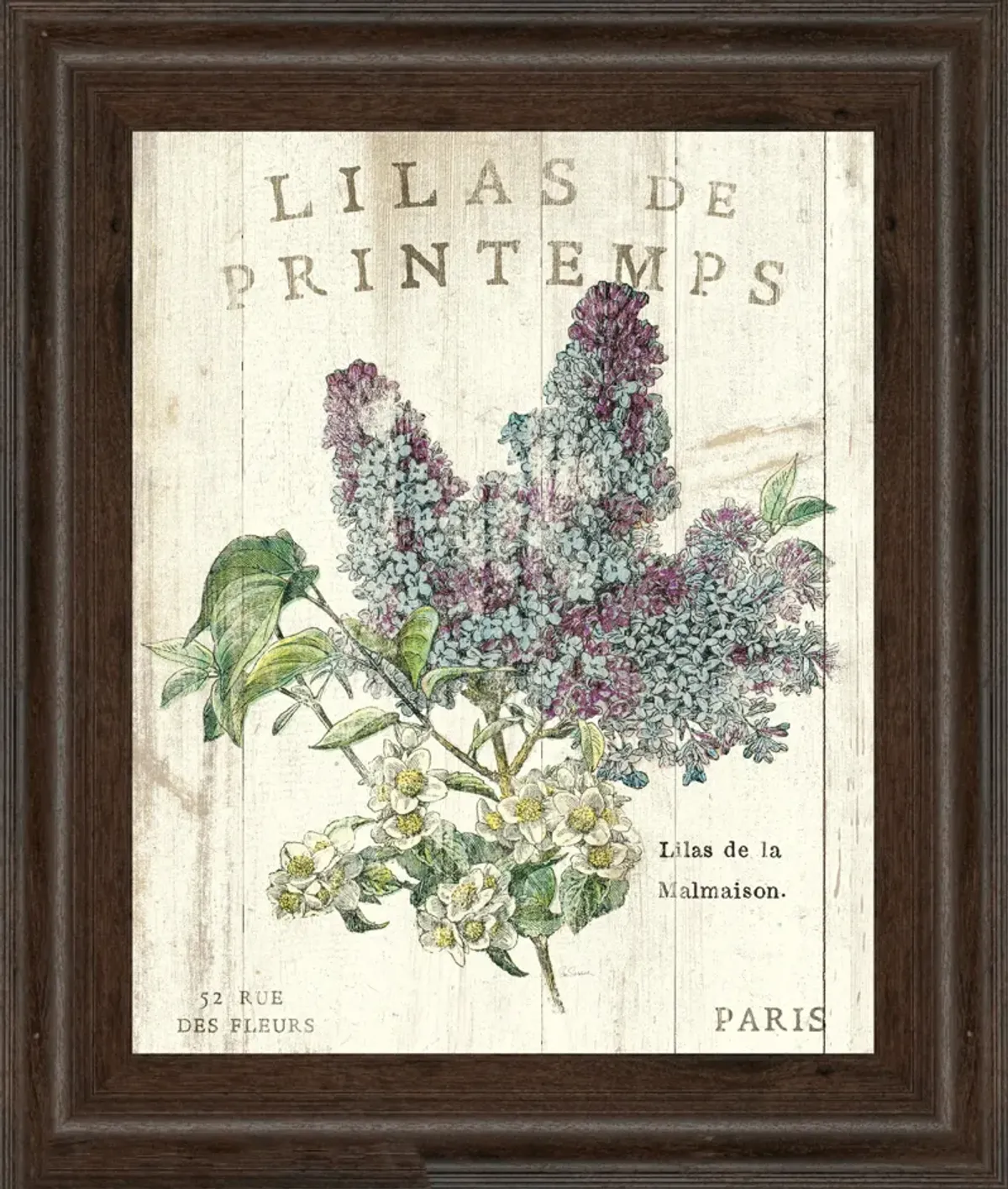 Lilas De Printemps By Sue Schlabach - White