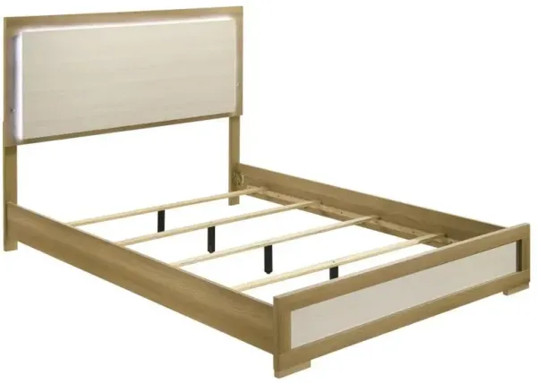 Hyland - Panel Bed LED Headboard