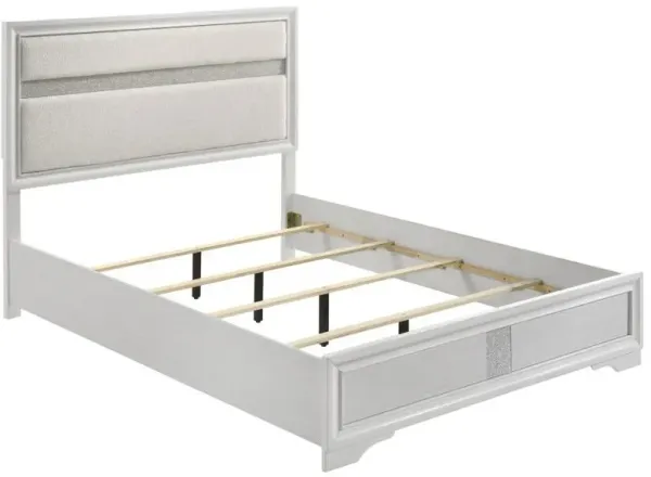 Miranda - Upholstered Panel Bed