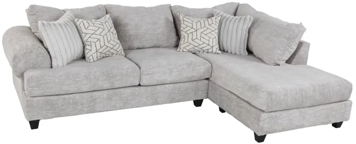 2 Piece Sectional